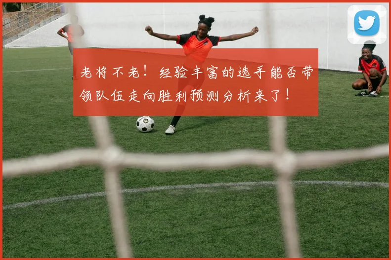 老将不老！经验丰富的选手能否带领队伍走向胜利预测分析来了！