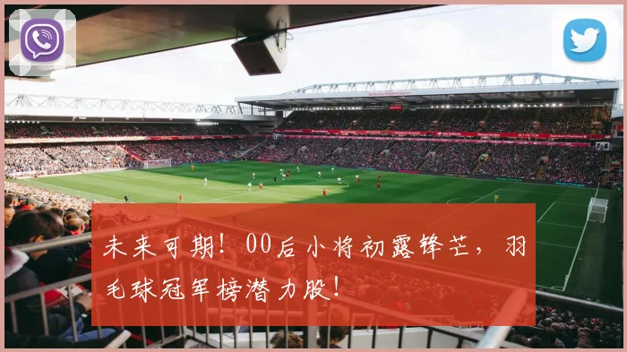 未来可期！00后小将初露锋芒，羽毛球冠军榜潜力股！