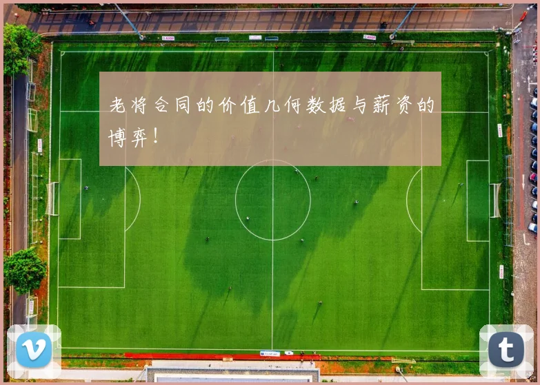 老将合同的价值几何数据与薪资的博弈!